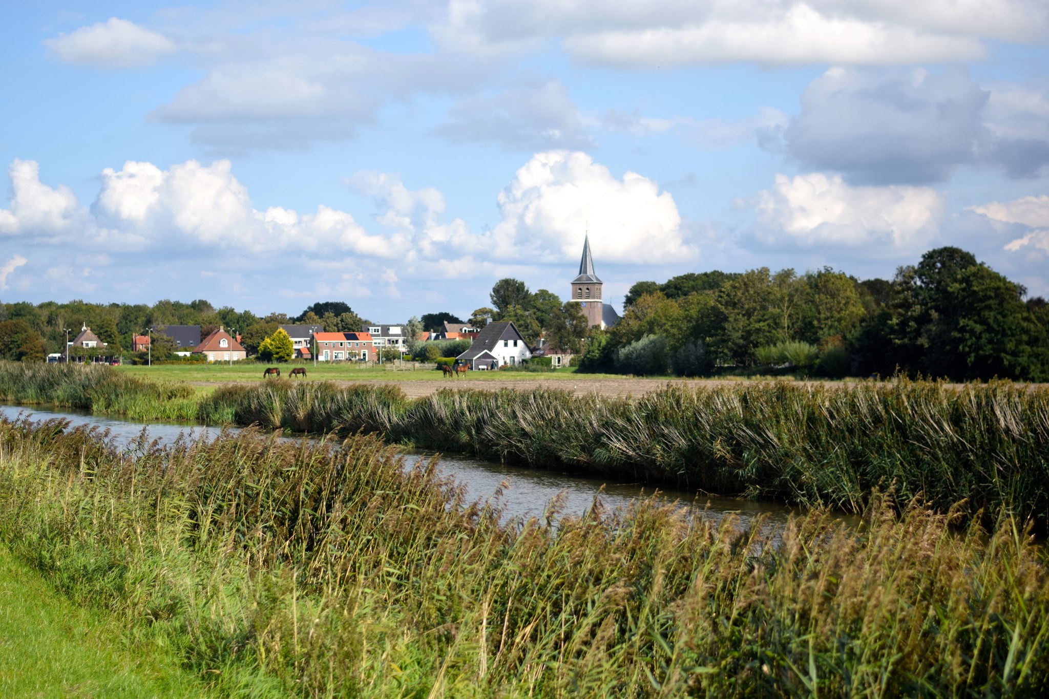 Stichting Recreatiehaven Ried - Ried